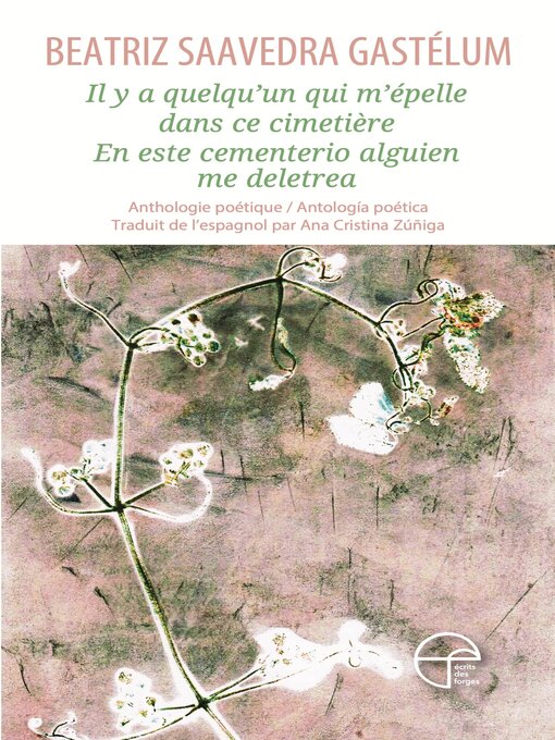 Title details for Il y a quelqu'un qui m'épelle dans ce cimetière by Beatriz Saavedra Gastelum - Wait list